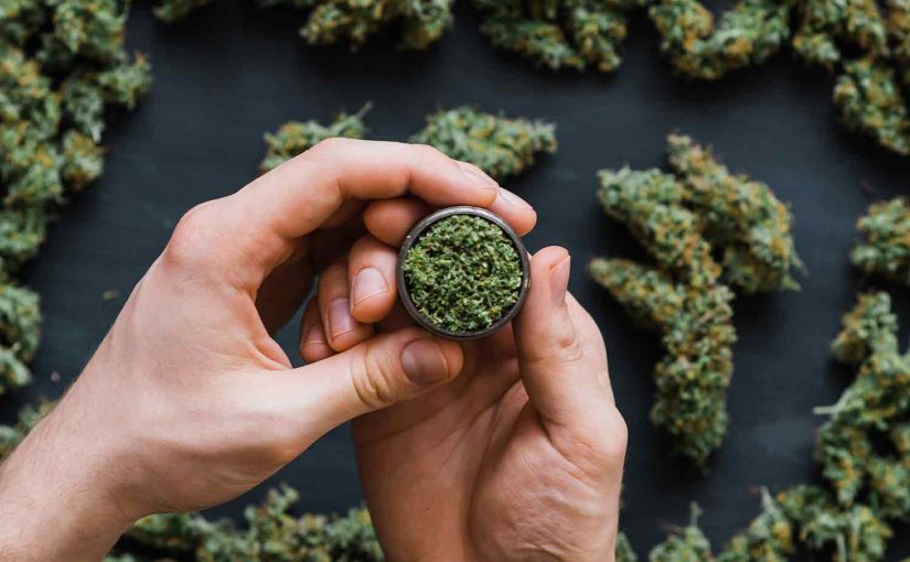 Weed 101: An Introduction To Cannabis – Benefits, Types, And Uses