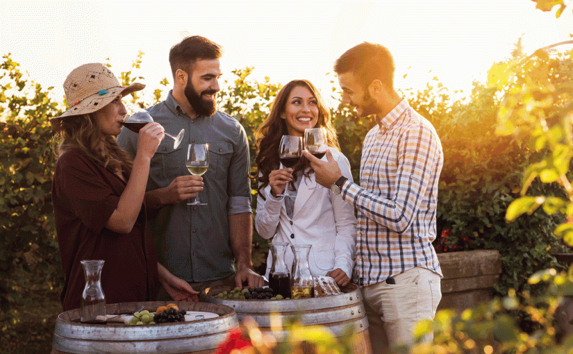 How To Plan The Perfect Wine Tour