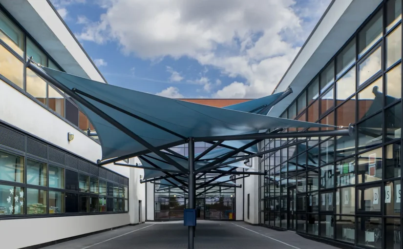 A Step-By-Step Guide for Canopy Cleaning