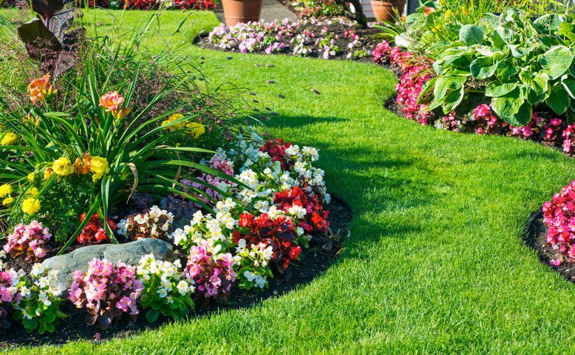 How To Landscape Like A Pro: Step-By-Step Guide